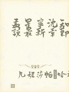 孟星宁沈知聿小说最新章节免费阅读