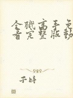 全职高手免费观看完整版动漫第二季封面