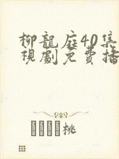 柳龙庭40集电视剧免费播放
