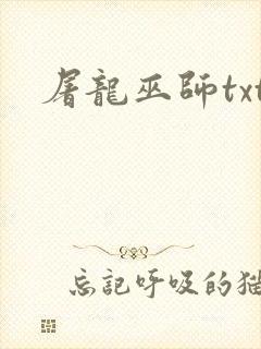 屠龙巫师txt