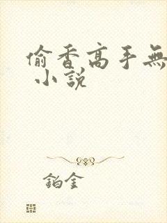 偷香高手无删减 小说