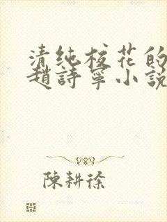 清纯校花的堕落赵诗宁小说全文免费封面