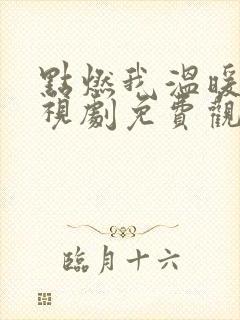 点燃我温暖你电视剧免费观看软件