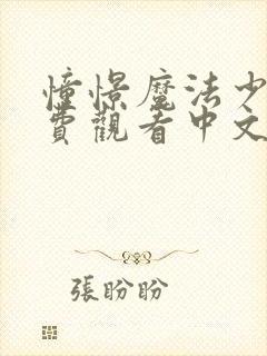 憧憬魔法少女免费观看中文版全集