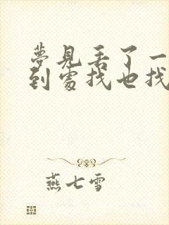 梦见丢了一只鞋到处找也找不到封面