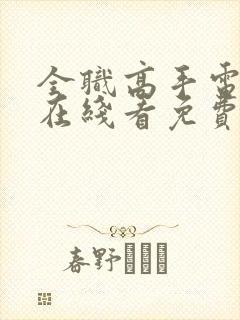 全职高手电视剧在线看免费观看封面