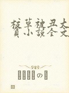 校草被丑大叔欺负小说全文阅读