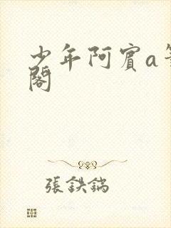 少年阿宾a笔趣阁