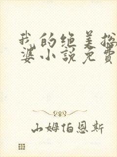 我的绝美总裁老婆小说免费