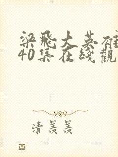 梁飞大英雄1一40集在线观看飞哥