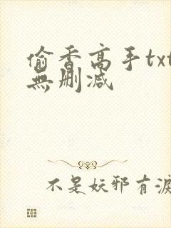 偷香高手txt无删减