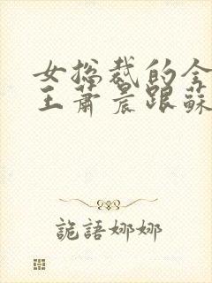 女总裁的全能兵王萧晨跟苏晴封面