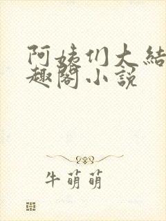 阿姨们大结局笔趣阁小说