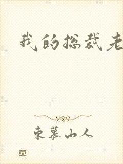 我的总裁老妈封面