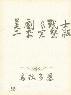 美剧《战士》第二季完整版在线观看