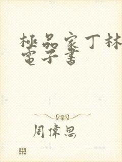 极品家丁林晚荣电子书