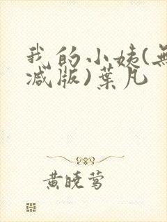 我的小姨(无删减版)叶凡封面