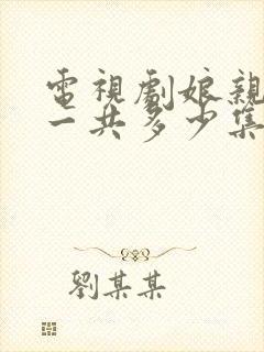 电视剧娘亲舅大一共多少集