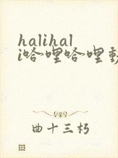 halihali哈哩哈哩动漫
