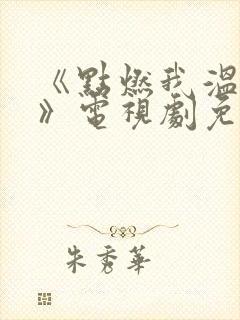 《点燃我温暖你》电视剧免费观看封面