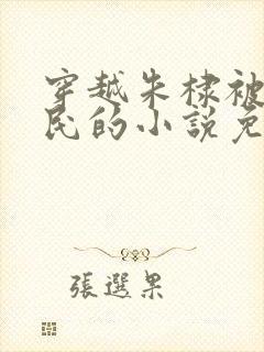 穿越朱棣被贬农民的小说免费阅读