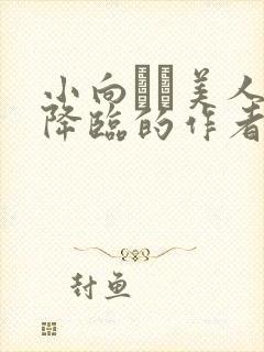 小向まな美人妻降临的作者