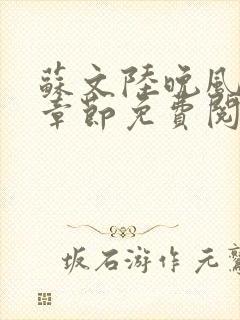 苏文陆晚风最新章节免费阅读笔趣阁封面