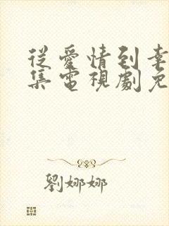 从爱情到幸福全集电视剧免费观看封面