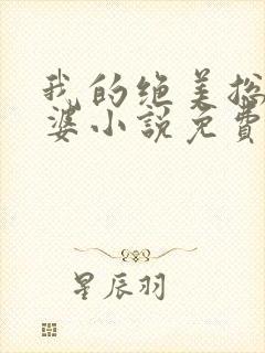 我的绝美总裁老婆小说免费阅读全文