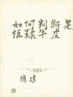 如何判断是不是植鞣牛皮