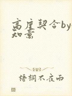 高度契合by洛知意封面