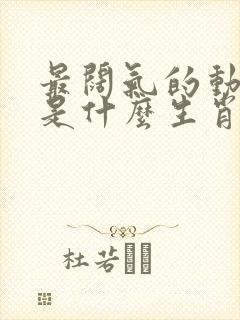 最阔气的动物,是什么生肖?