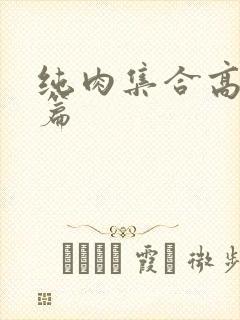 纯肉集合高h短篇