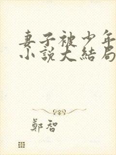 妻子被少年夺走小说大结局