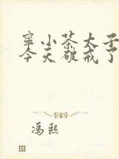 宁小茶太子殿下今天破戒了吗免费阅读