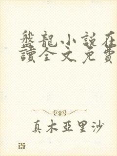 盘龙小说在线阅读全文免费无弹窗