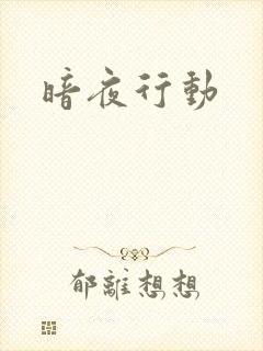 暗夜行动