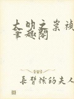 大明之崇祯大帝笔趣阁封面