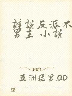 谁说反派不能当男主 小说