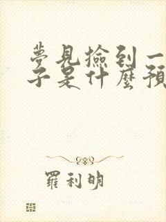 梦见捡到一只鞋子是什么预兆