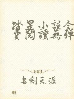 踏星小说全文免费阅读无弹窗