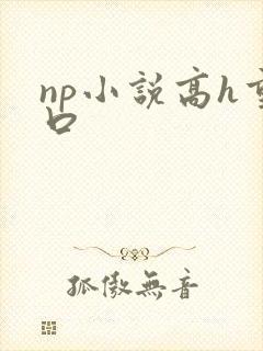 np小说高h重口