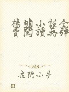 杨明小说全文免费阅读无弹窗