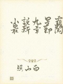 小说九星霸体诀最新章节阅读