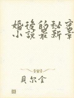 婚后的秘密小勇小说最新章节