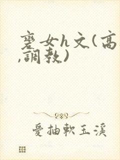 变女h文(高h,调教)