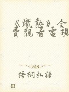 《炽热》全集免费观看电视剧完整版封面