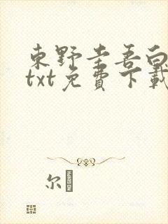 东野圭吾白夜行txt免费下载封面