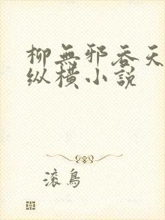 柳无邪吞天神鼎纵横小说封面