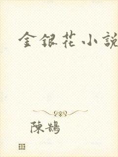 金银花小说乐可